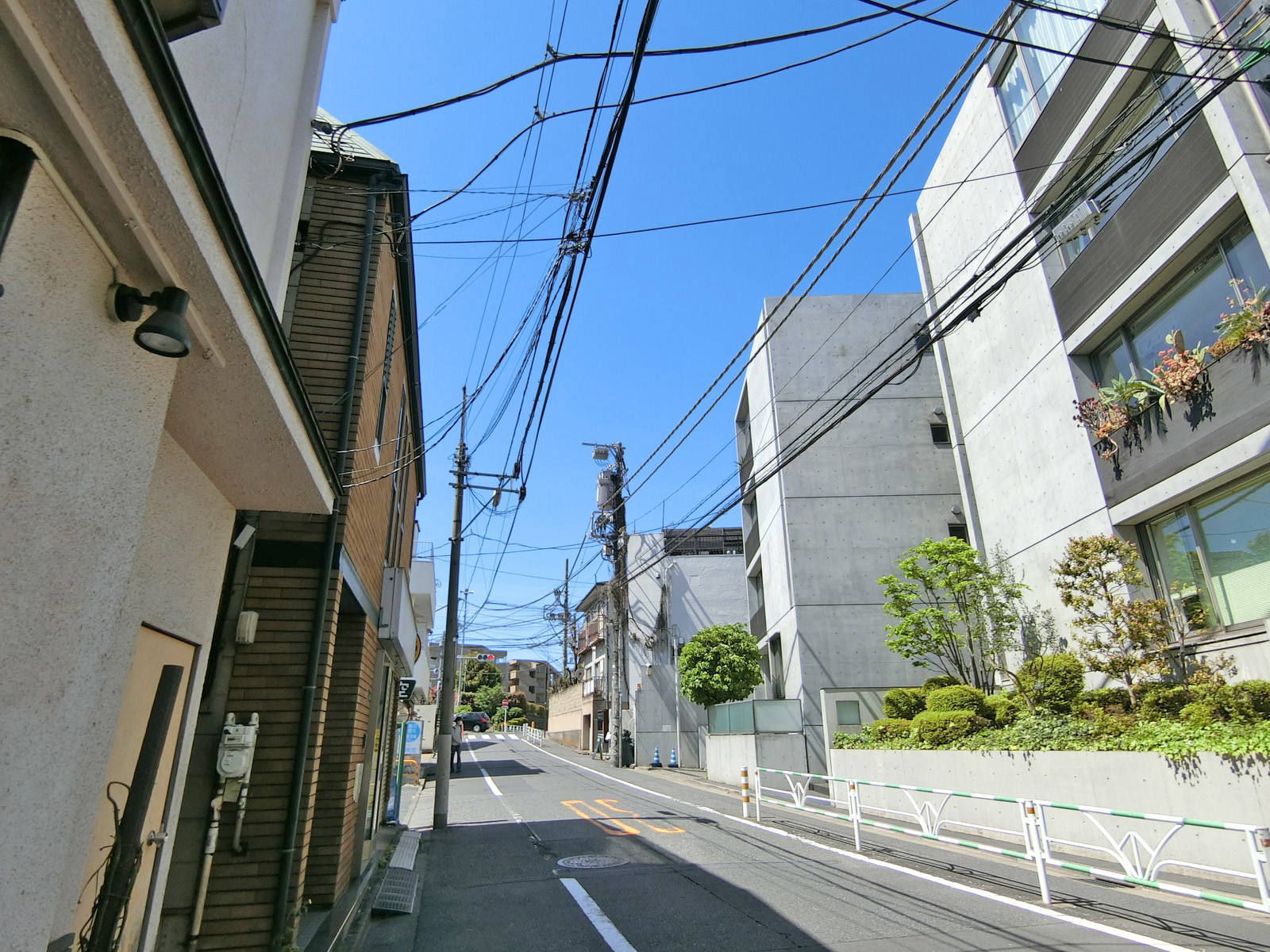 DEN FLAT 南平台前面の通り