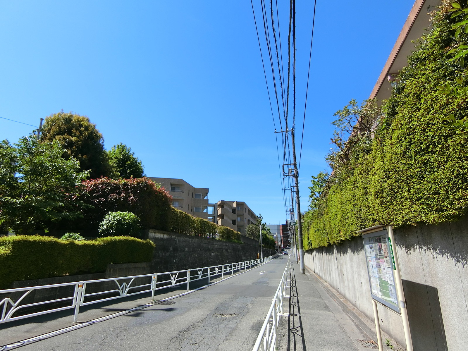 周辺は落ち着いた雰囲気のエリア