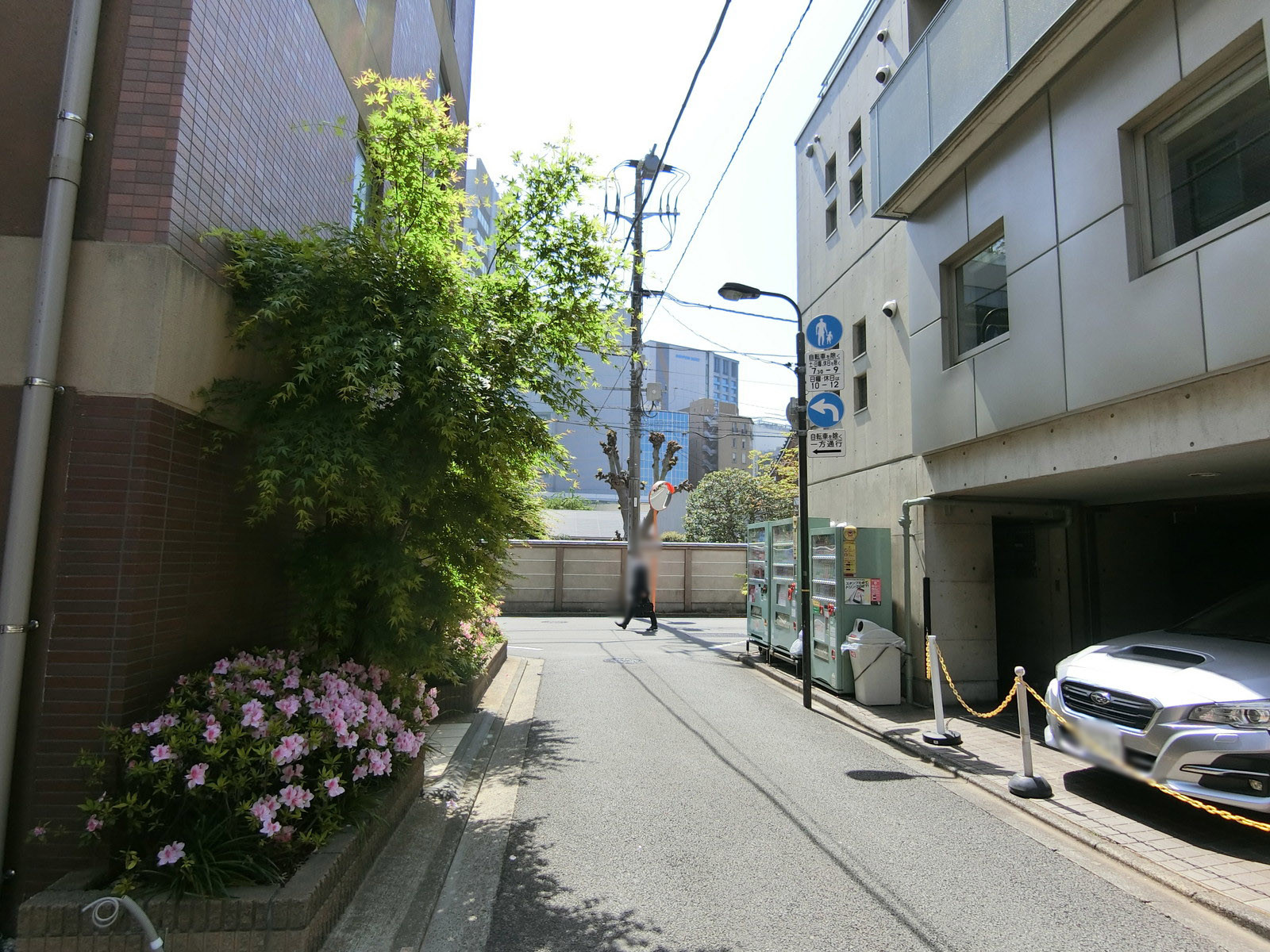 第三青葉事務所前面の通り