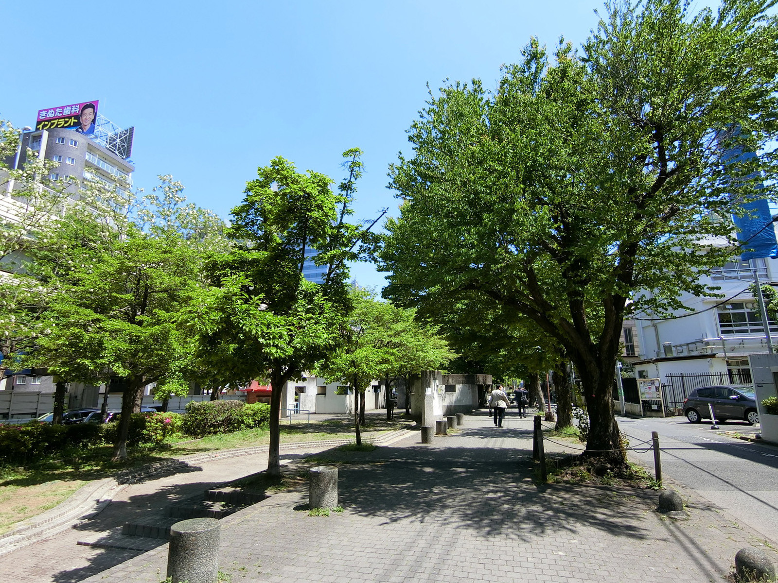 周辺は緑が豊かなエリア