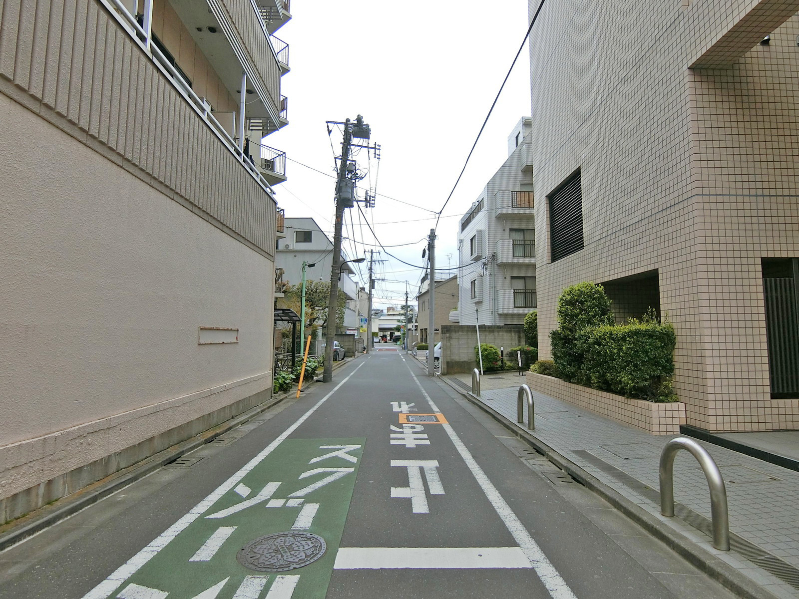 カステル昴前面の通り