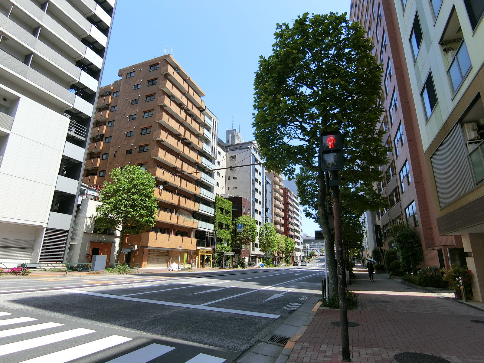オフィスビル前面の新大橋通り