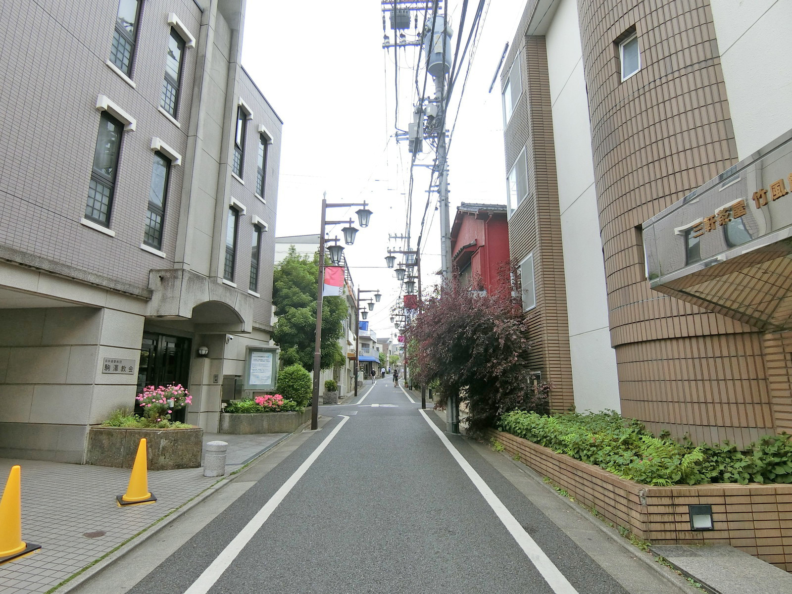 パルム駒沢前面の通り
