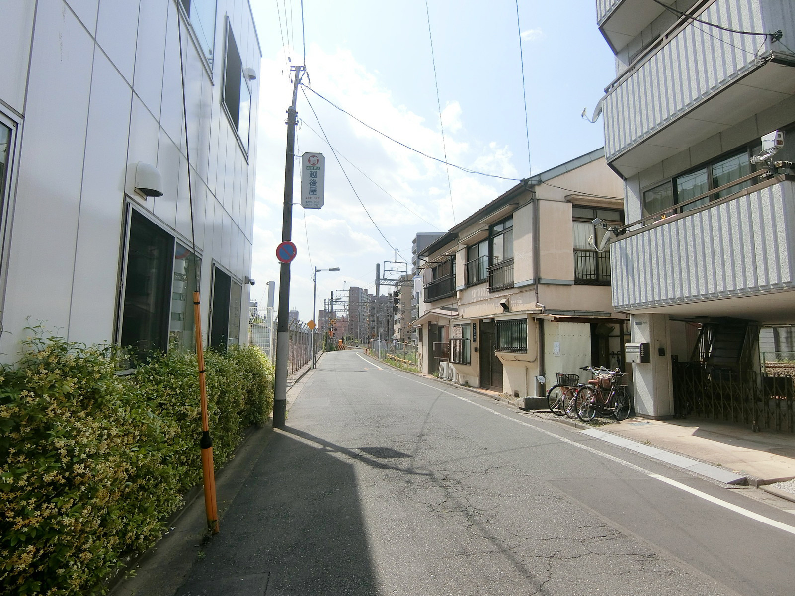 福寿亀戸ビル前面の通り