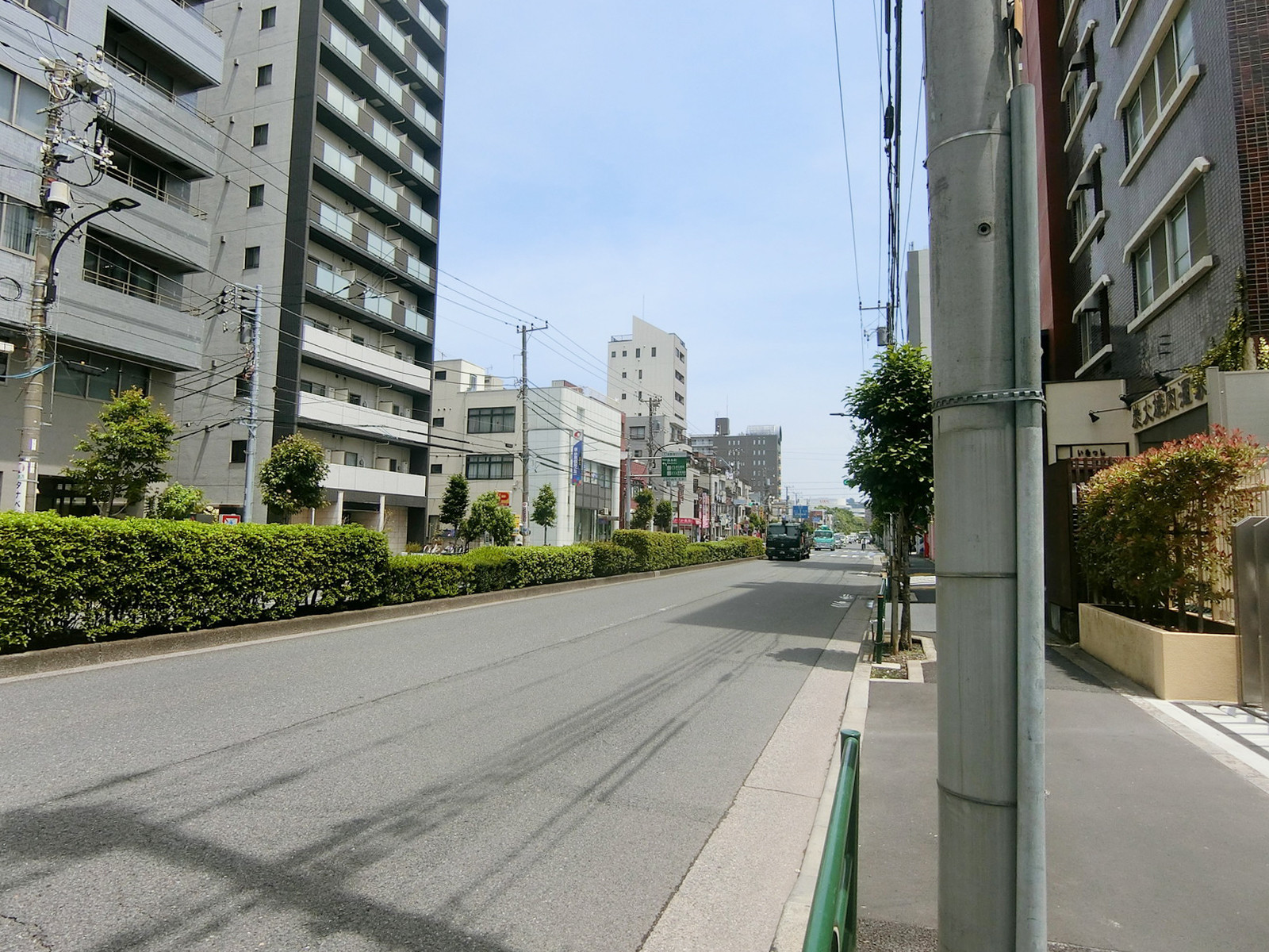 リードシー住吉ビル前面の新大橋通り