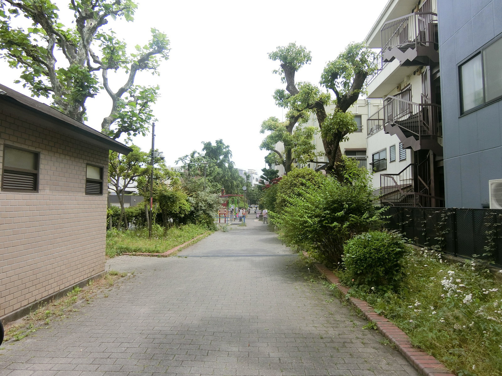 近くの五間堀公園