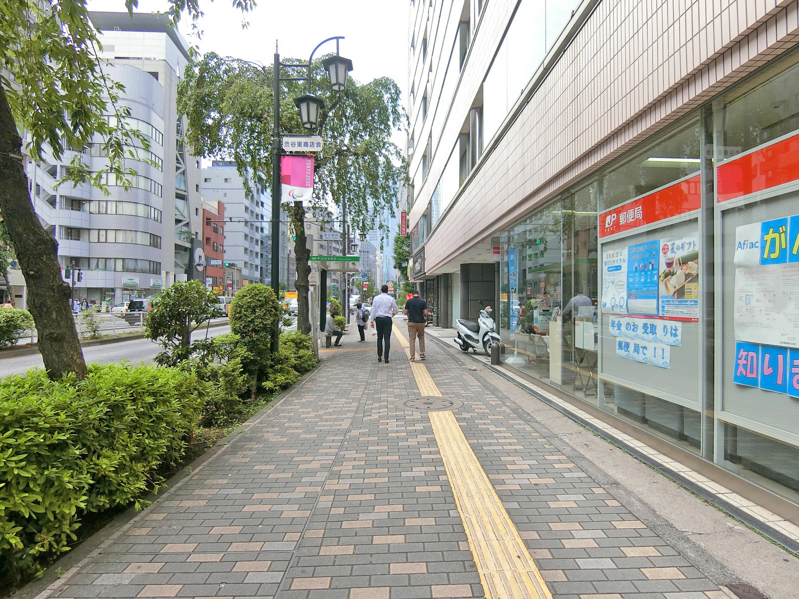 ロゼ氷川前面の通り