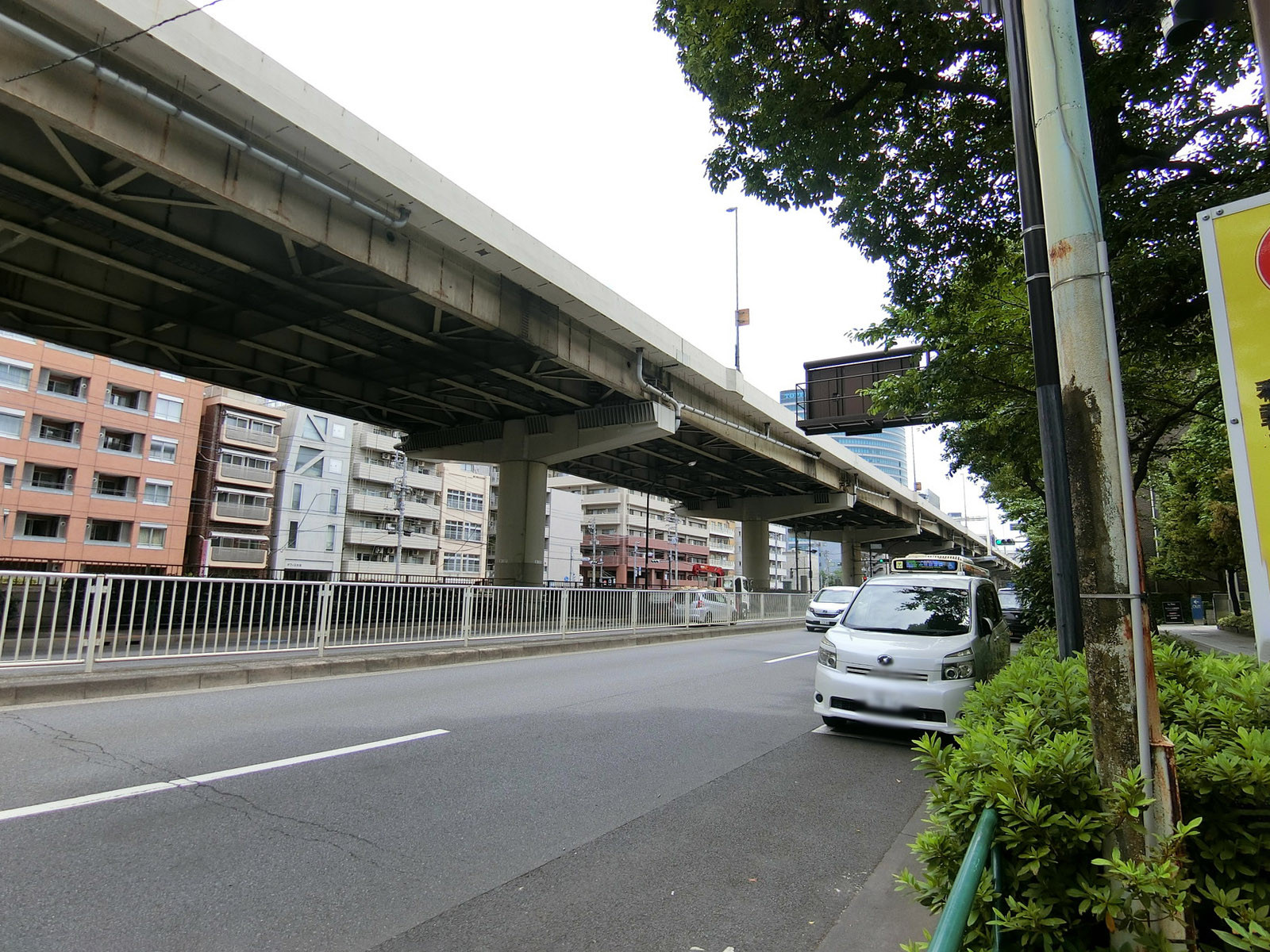 至近の目白通り