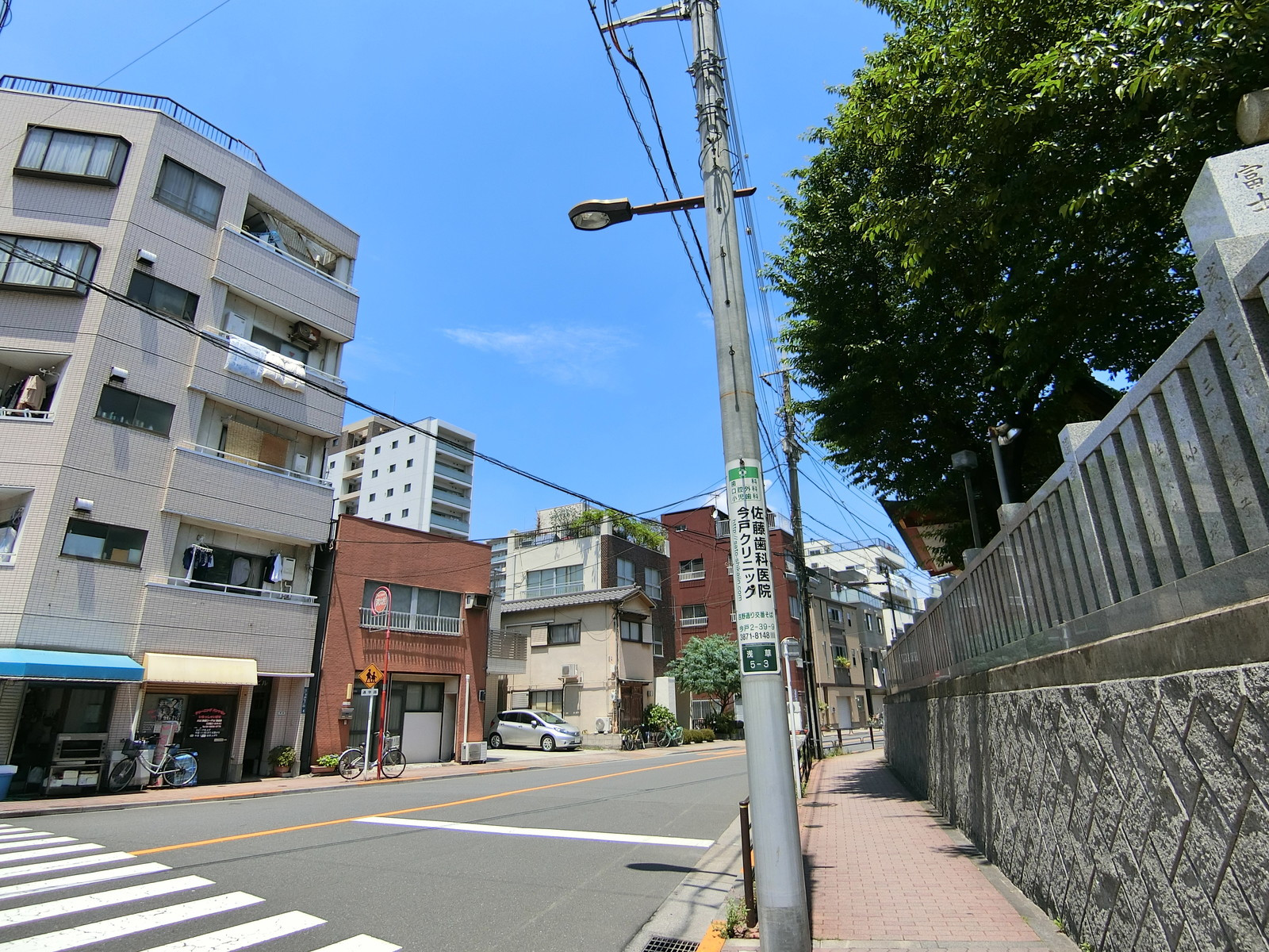 伊予ビル前面の一葉桜・光月通り