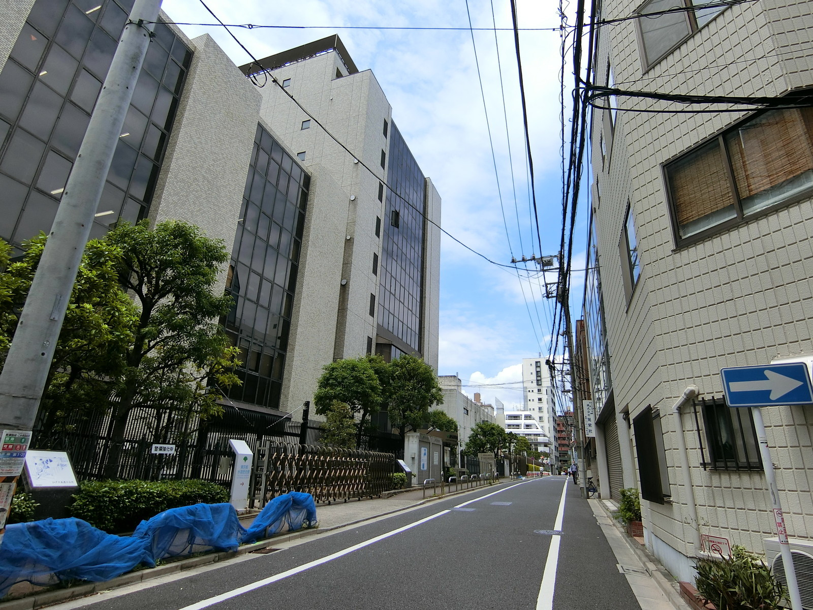 オフィスビル前面の通り