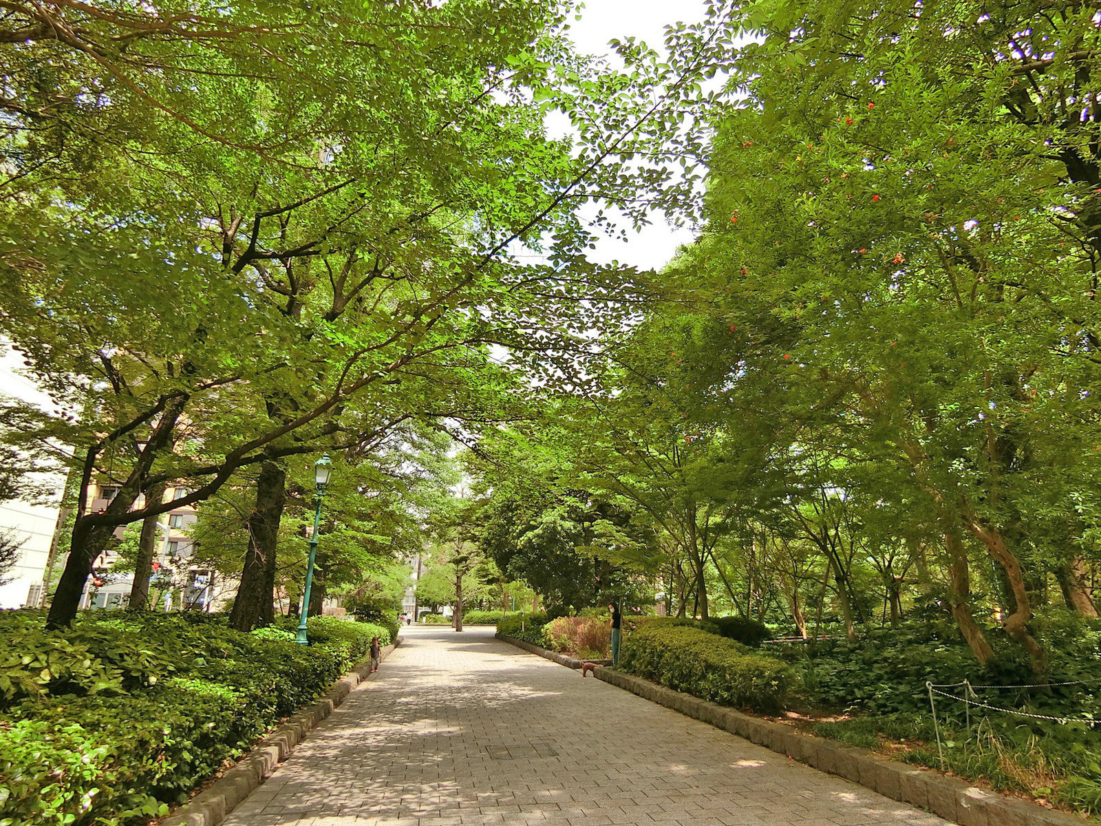 付近の浜町公園