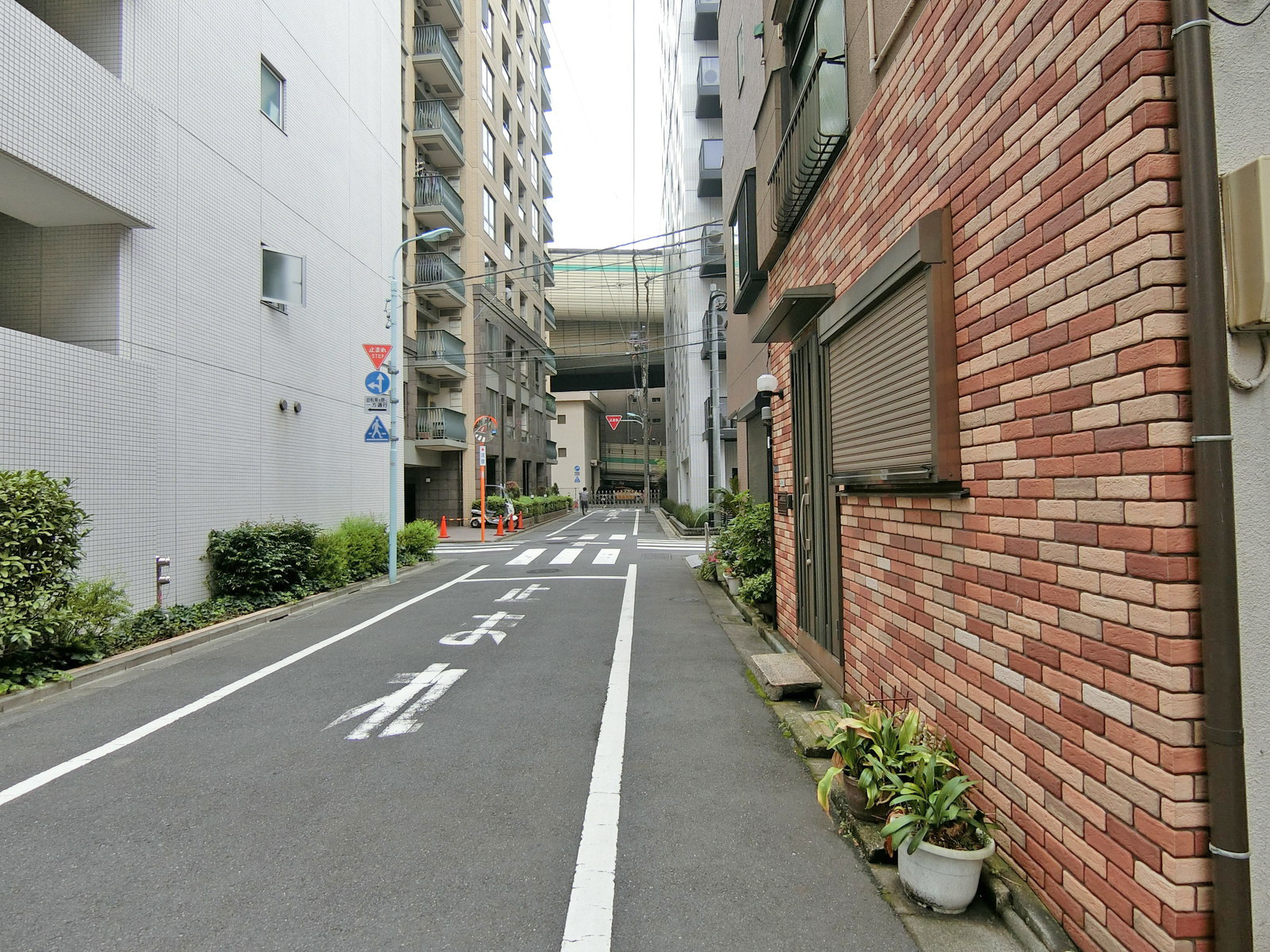 第一喜田村ビル前面の通り