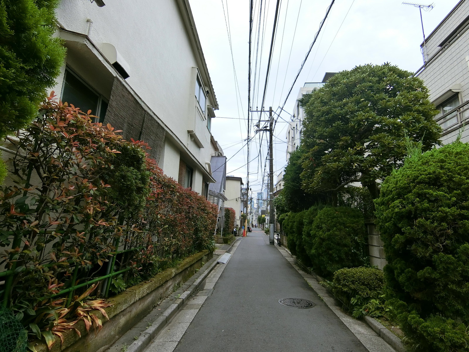 HAGINOビル前面の通り