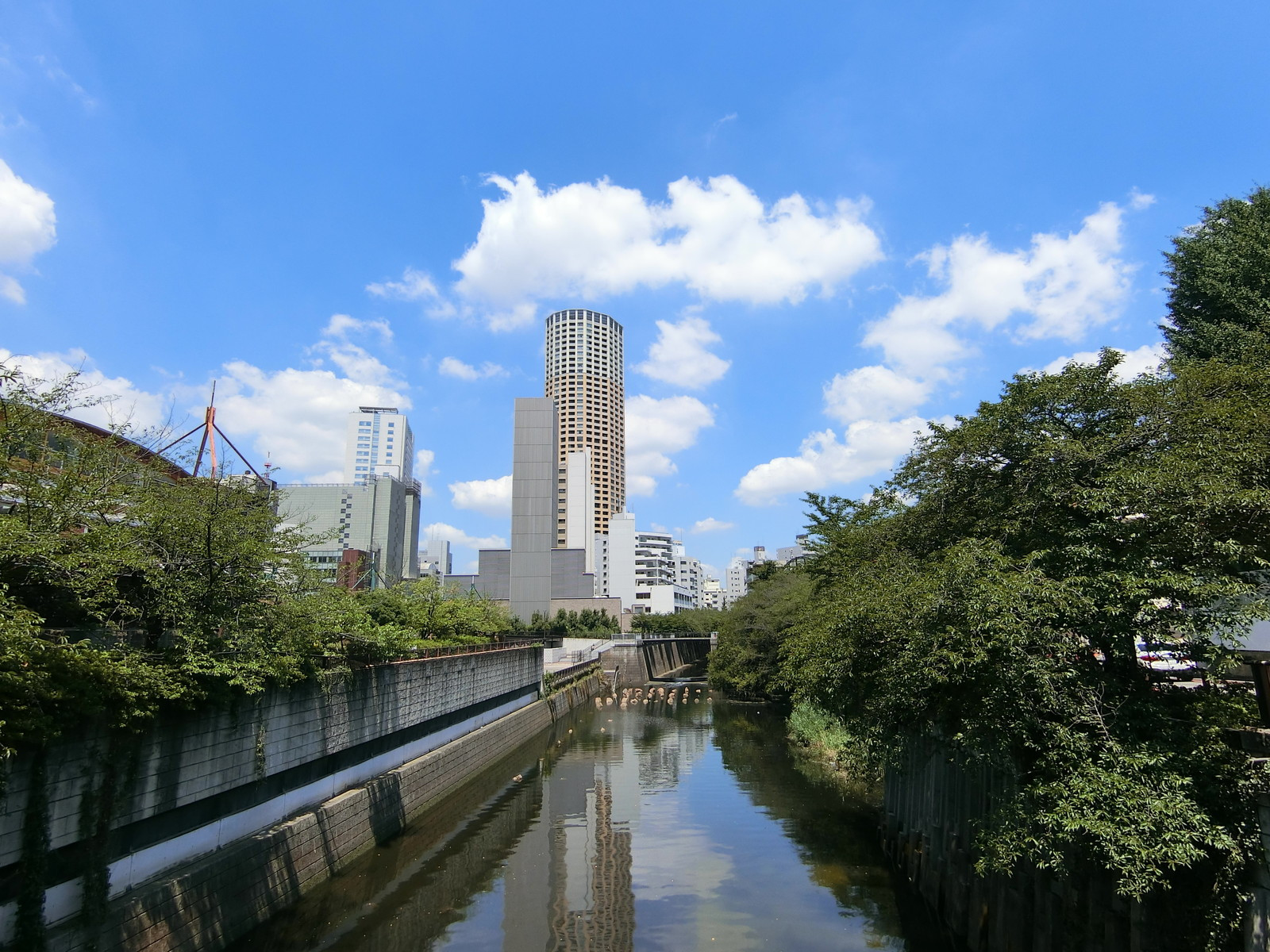 付近の目黒川