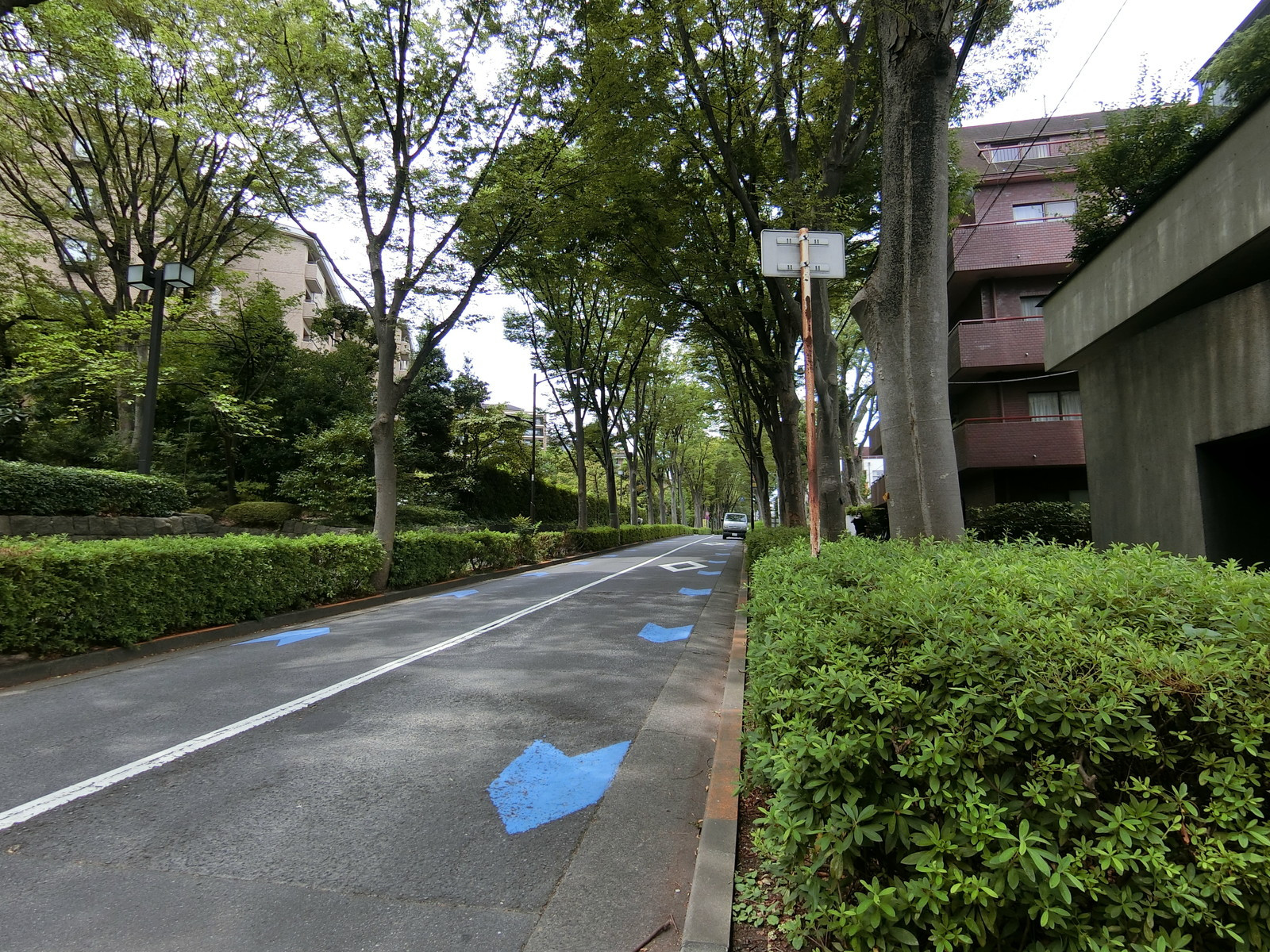麻布笄町Ａハウス前面の通り