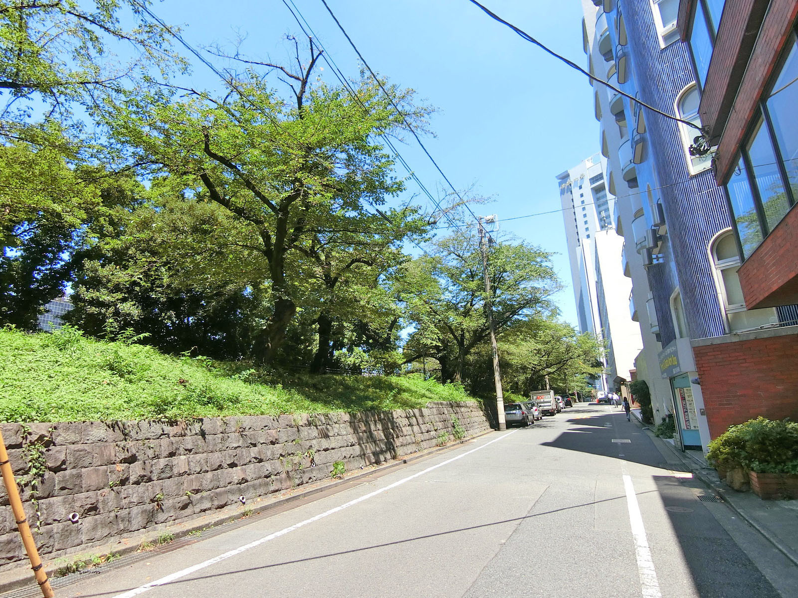 周辺は閑静なエリア