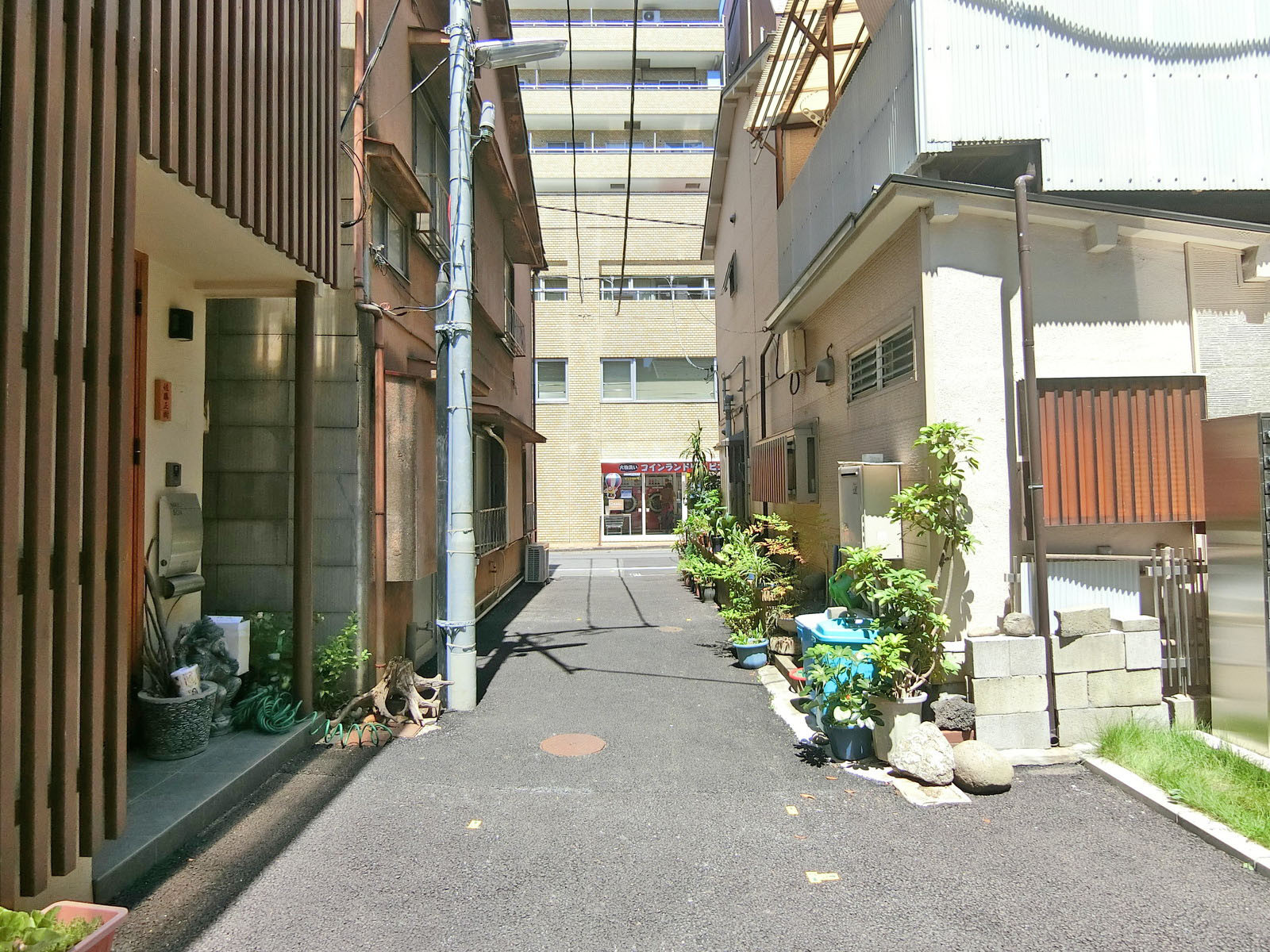 Cedar Terrace 番町前面の通り