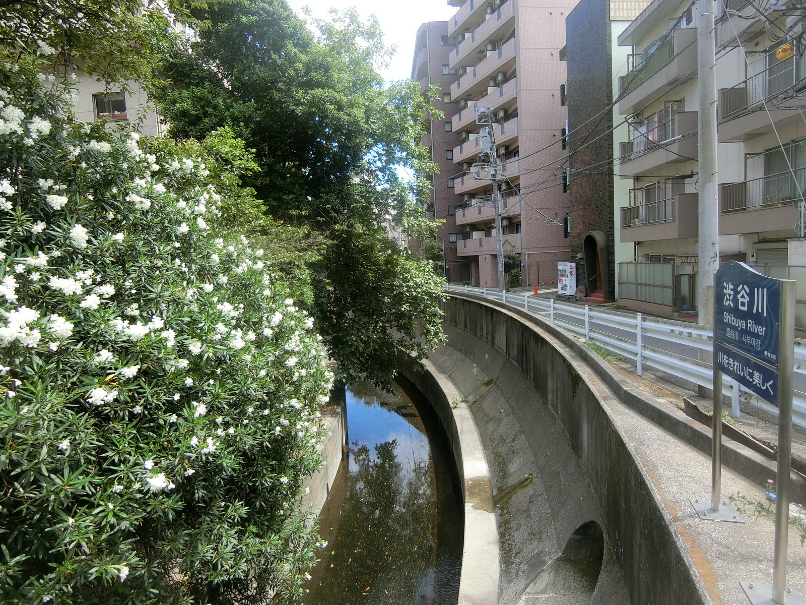 近くの渋谷川
