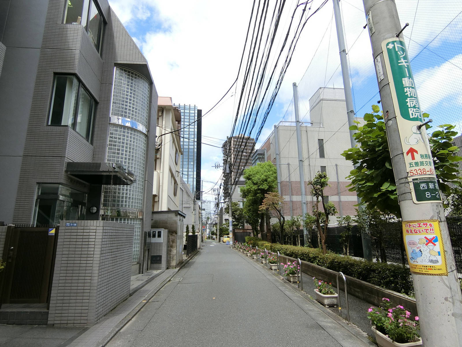 リーフアネックス西新宿前面の通り
