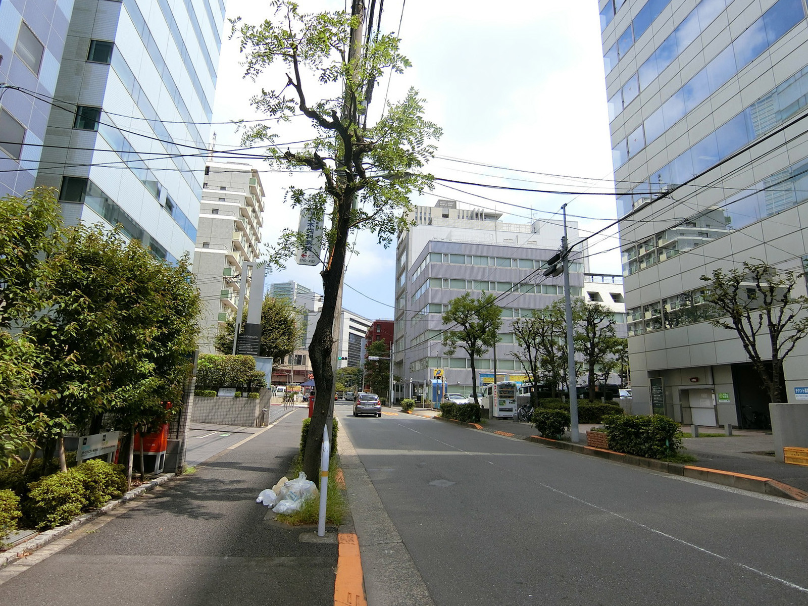 FORECAST品川前面の通り