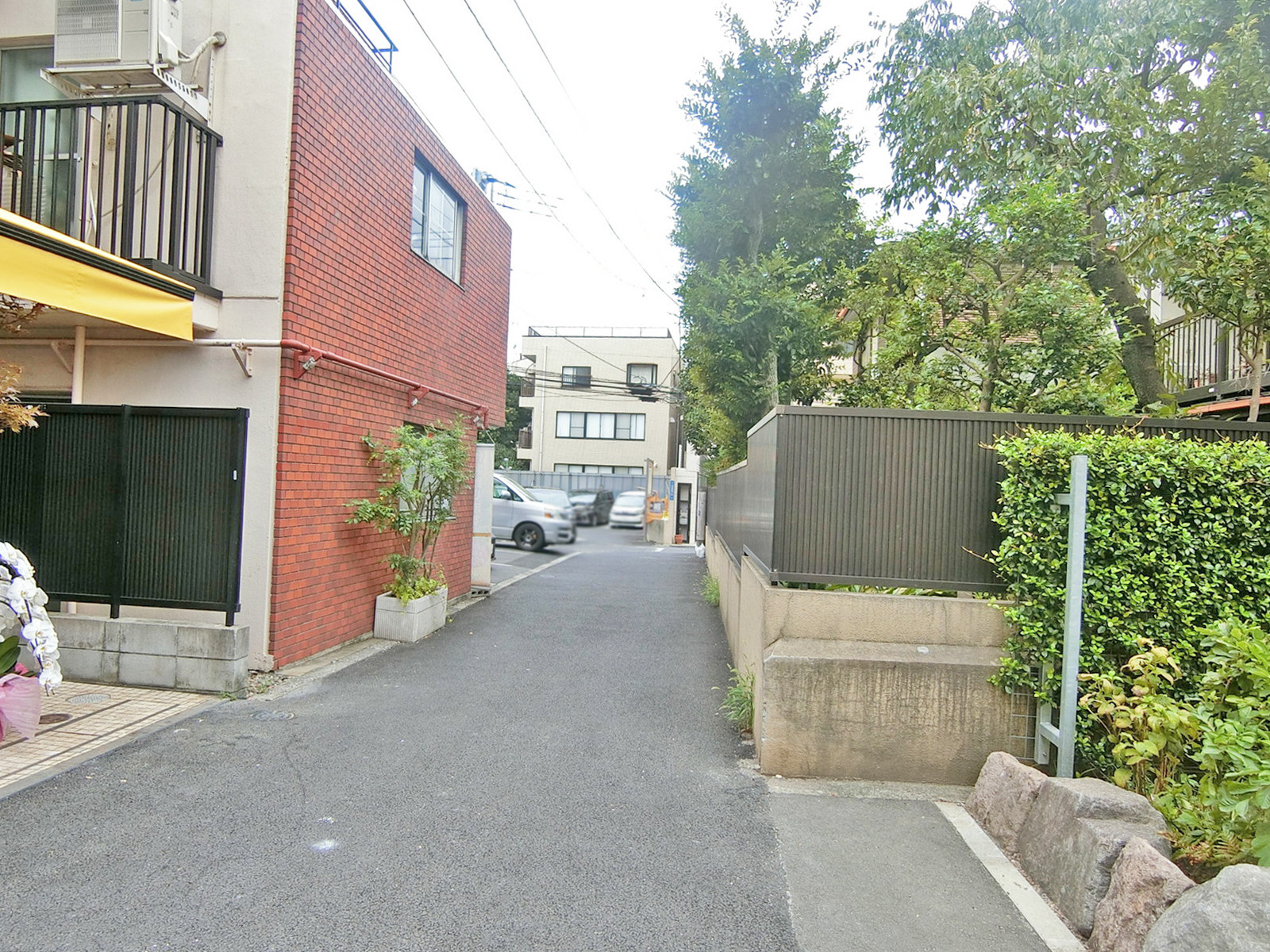HT青山前面の通り
