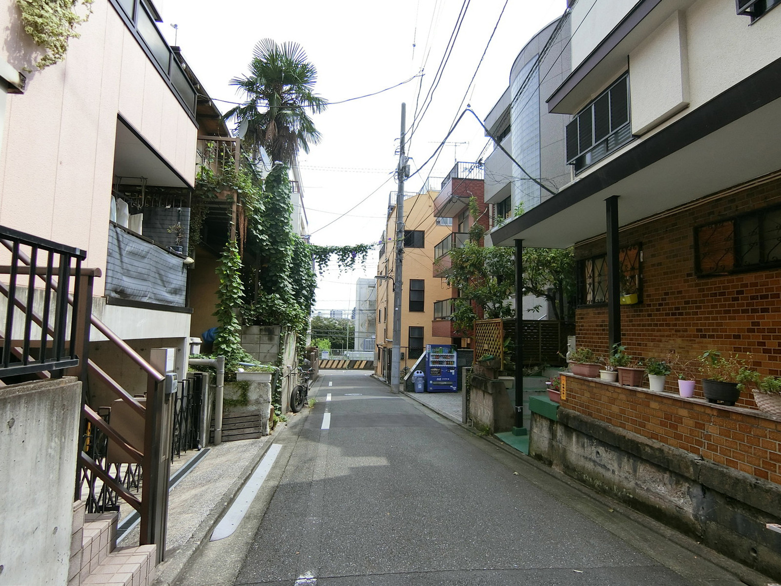 フジ大理石ビル前面の通り