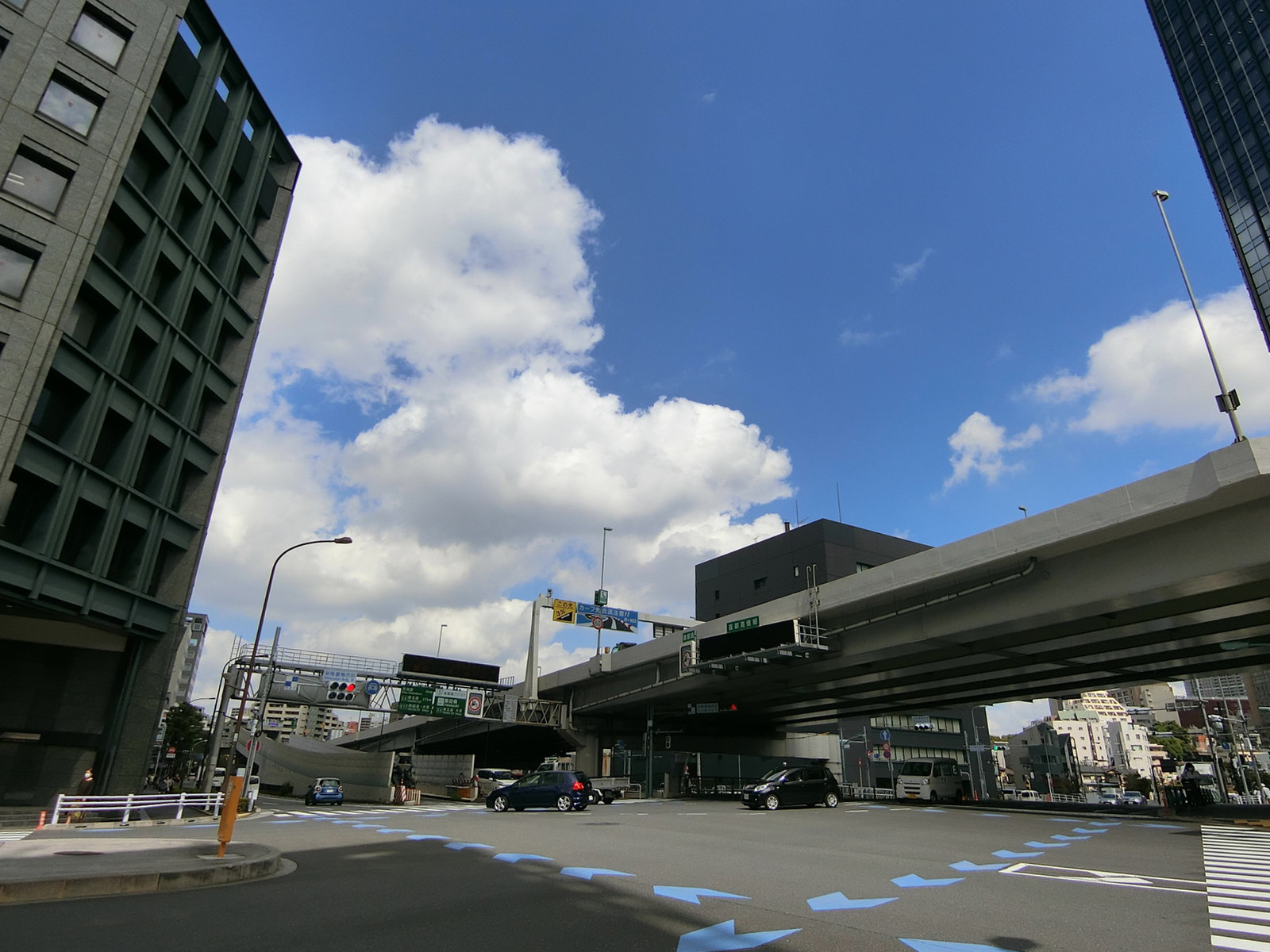 付近の目白通り