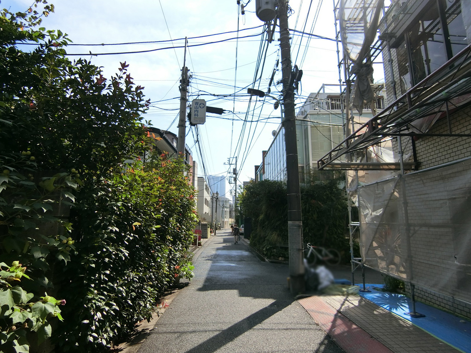 周辺は落ち着いたエリア