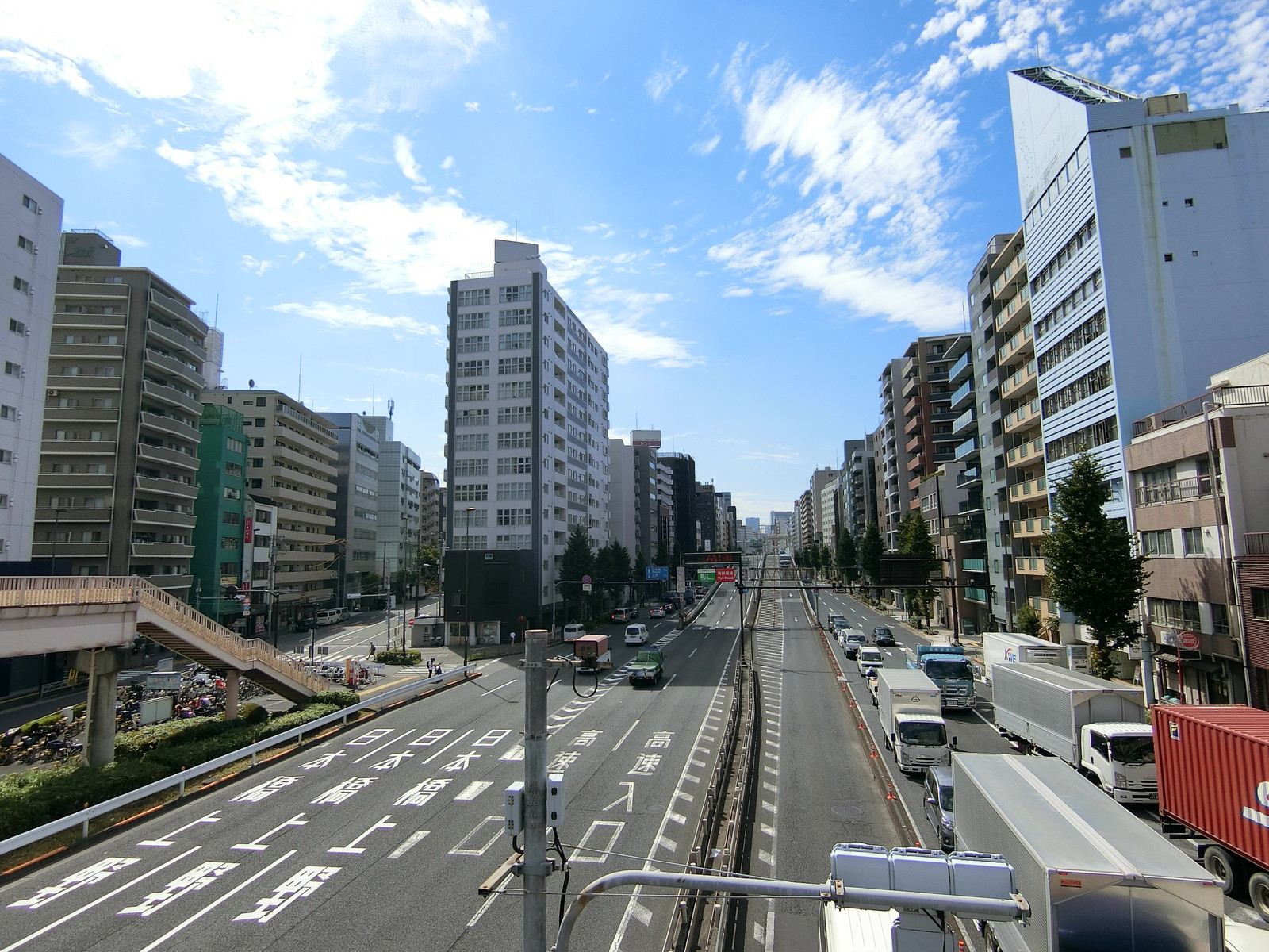 付近の昭和通り
