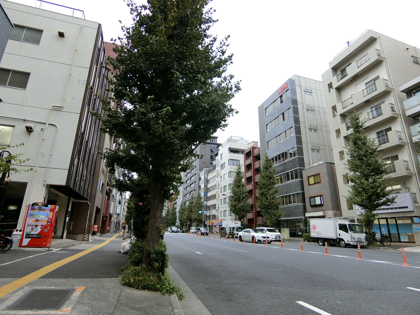 ストーク森山ビル前面の通り