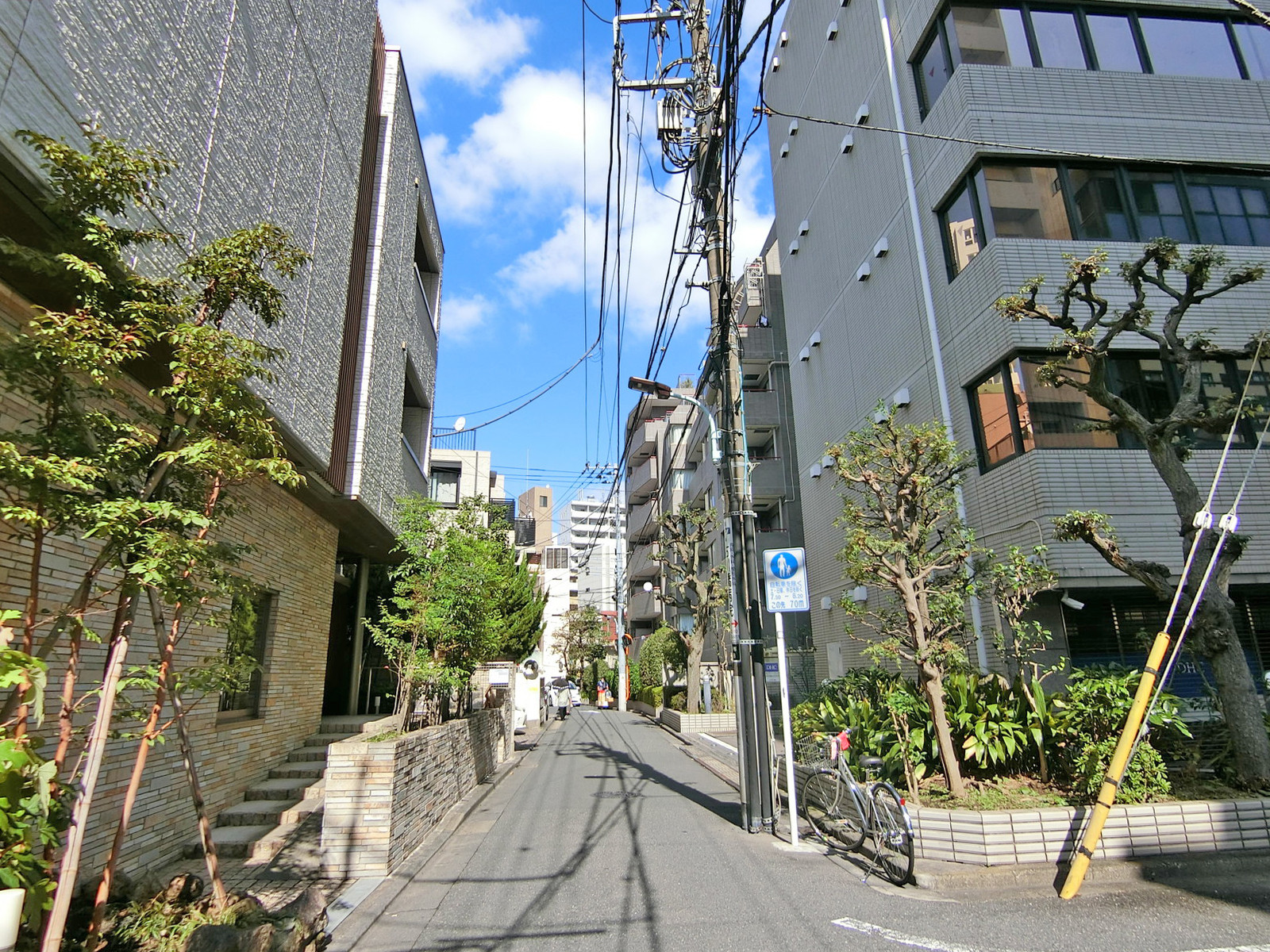 周辺は落ち着いたエリア