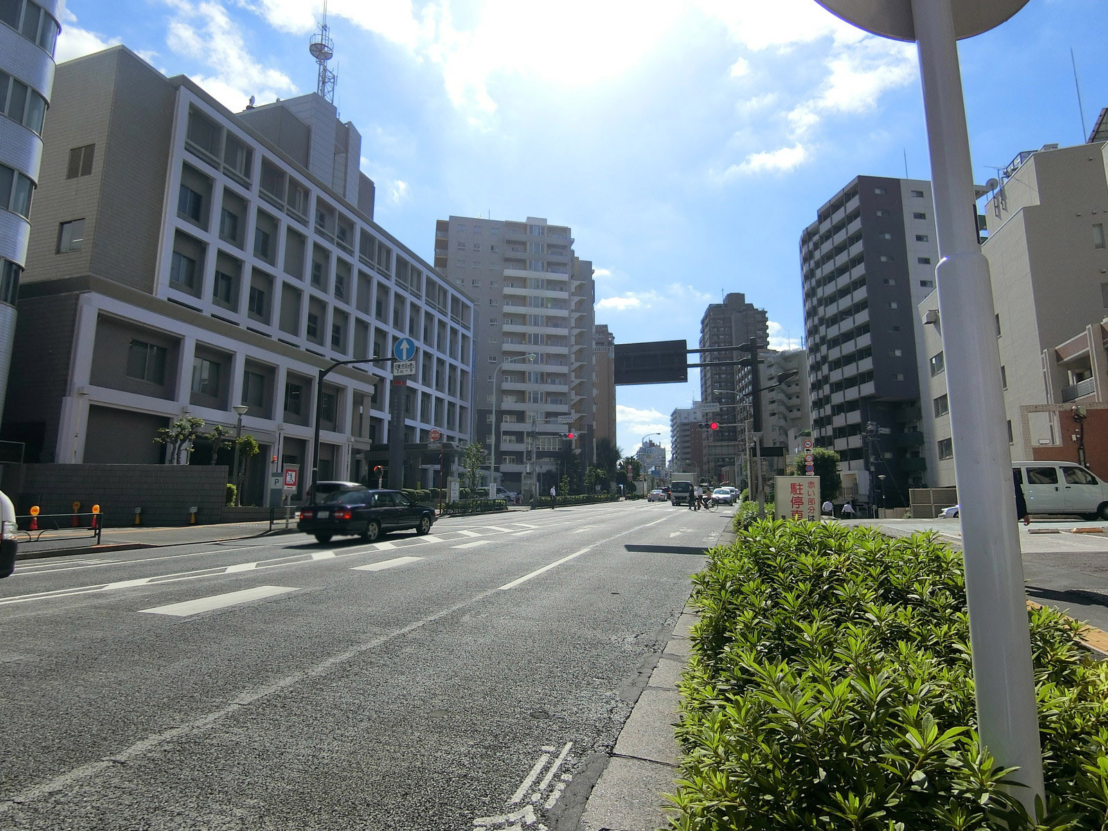メゾンドール高田馬場前面の通り