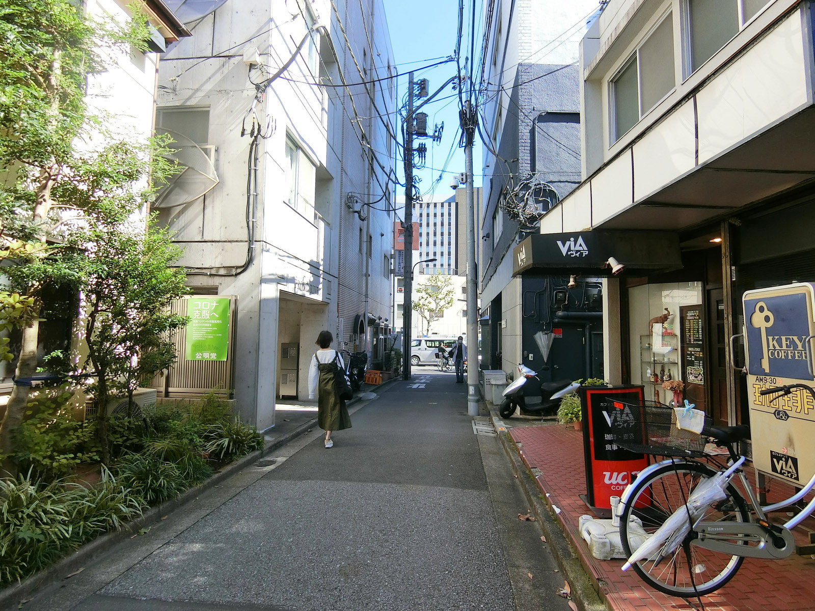 ケイビル前面の通り