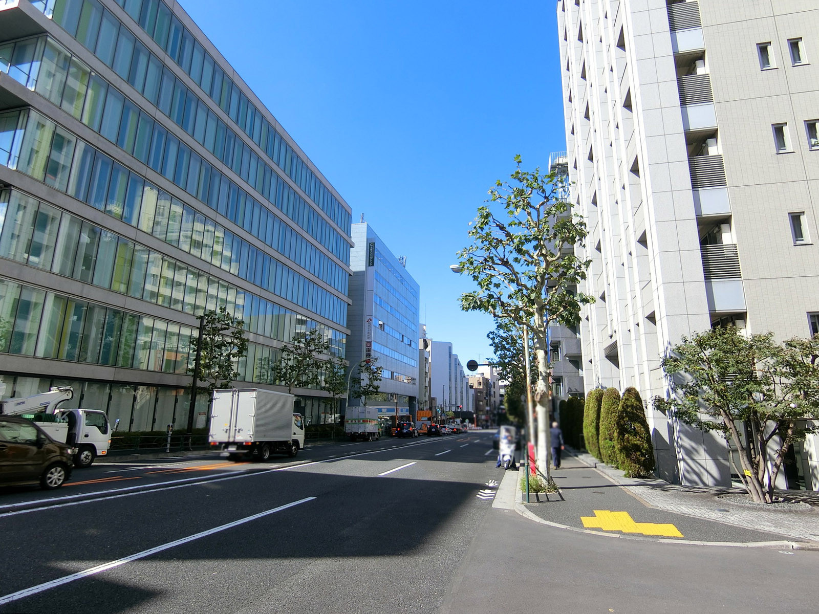 昌平黌ビル前面の早稲田通り