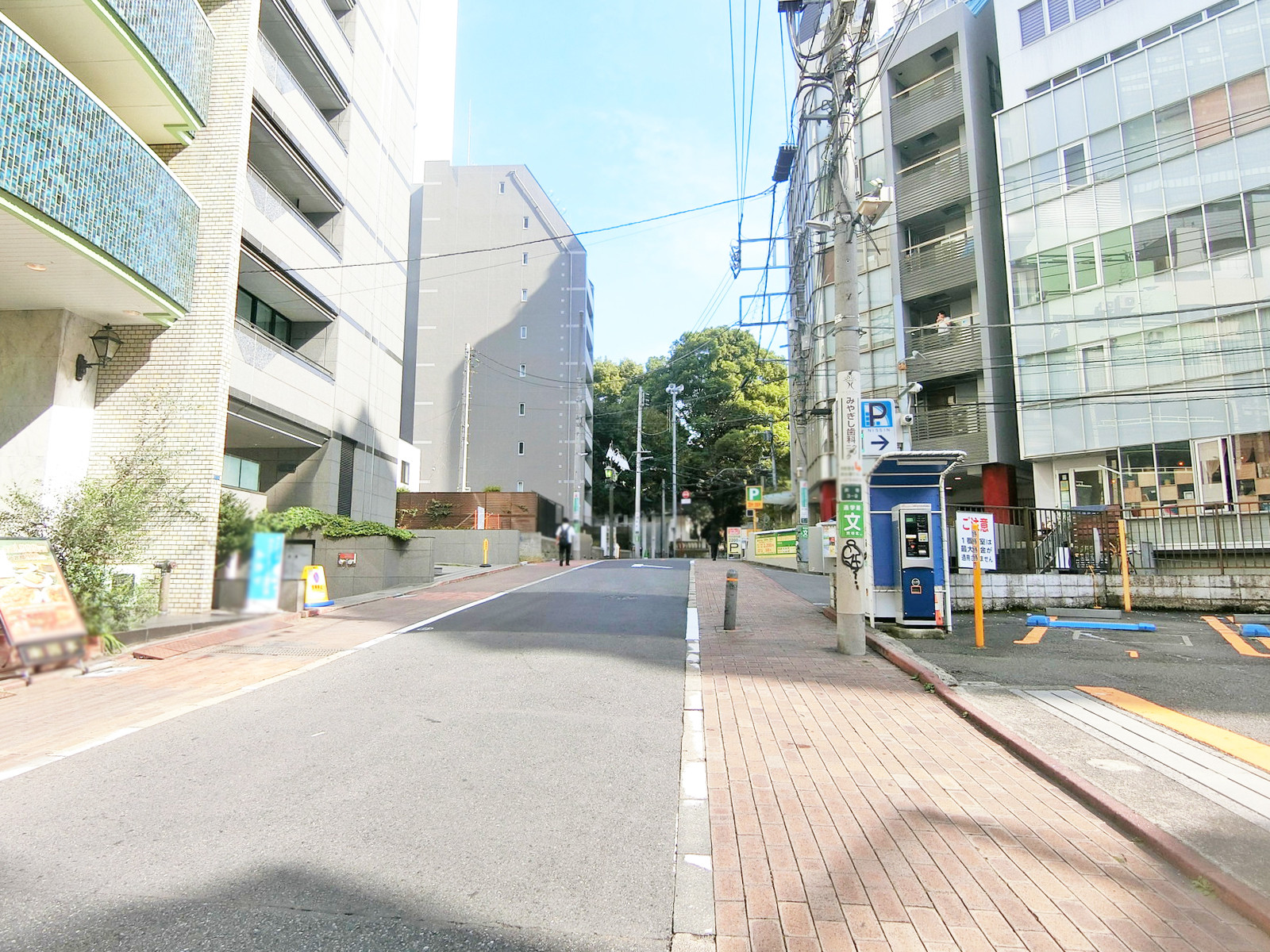 エメラルドアオキビル前面の通り