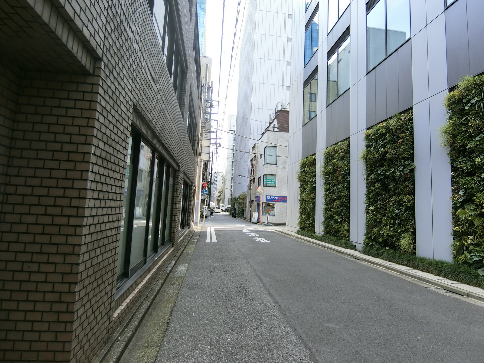 サクラビル前面の通り