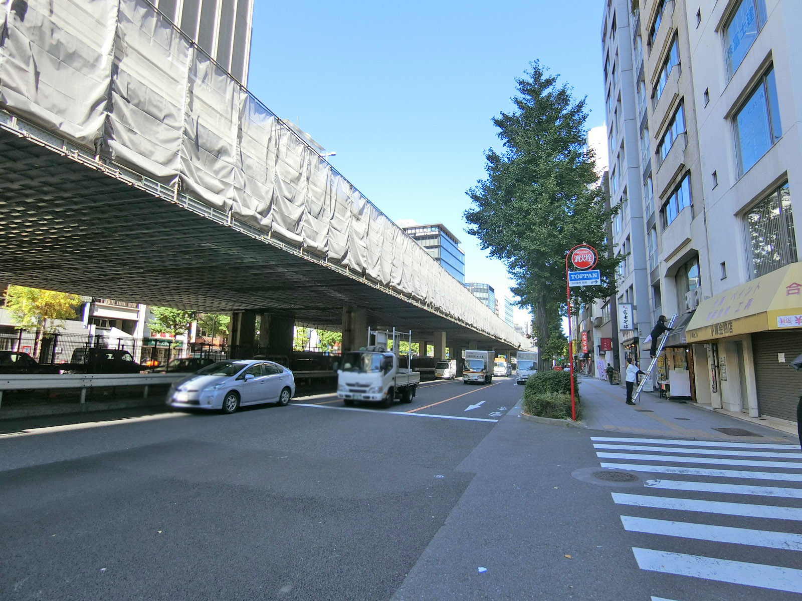 近くの昭和通り