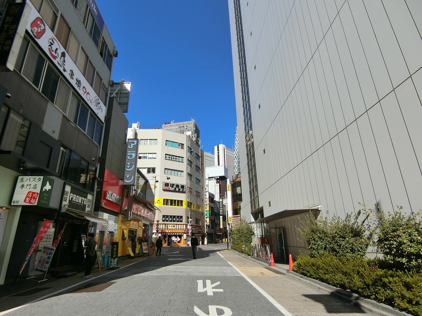 シルバービル前面の通り