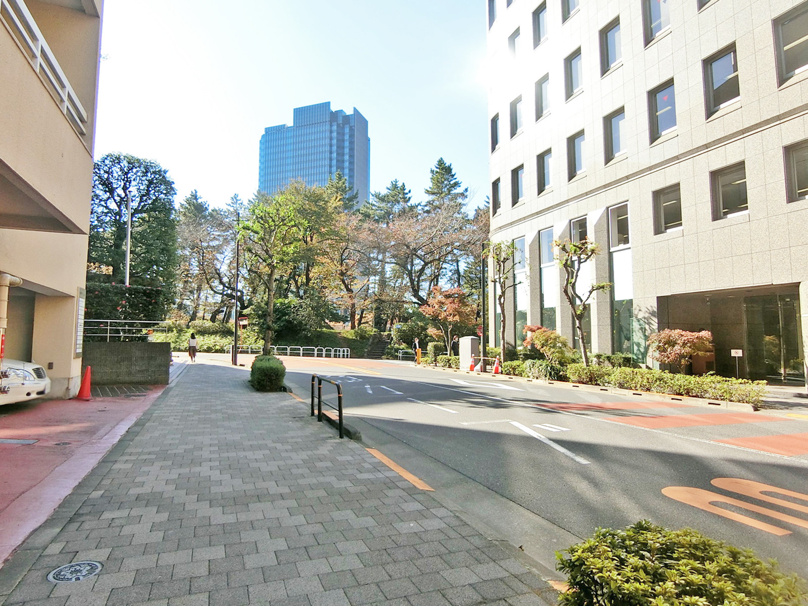 LH番町スクエア前面の通り