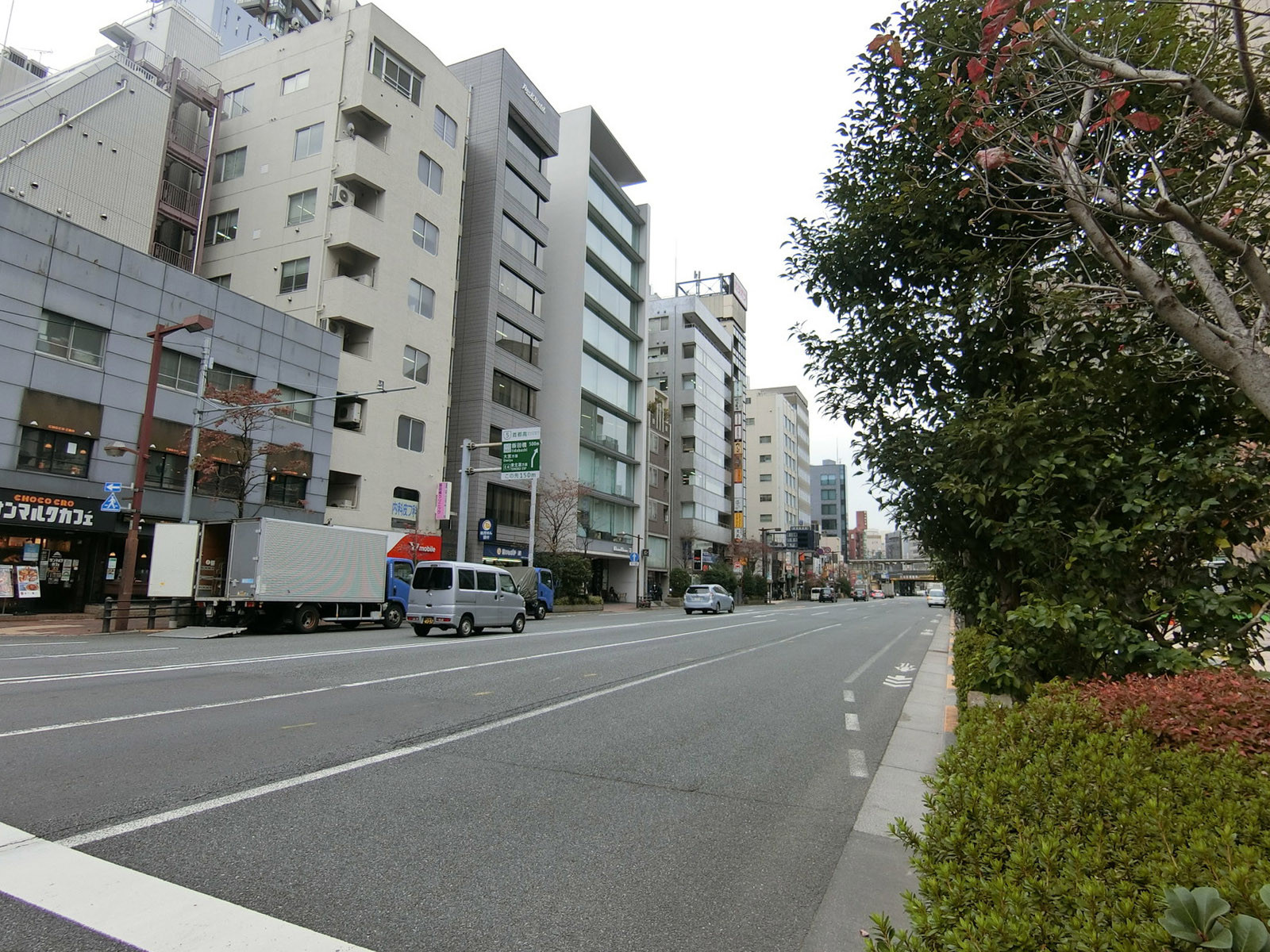 至近の目白通り