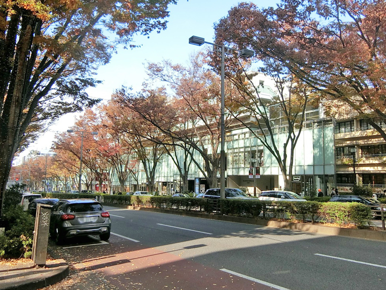 向かいの表参道ヒルズ