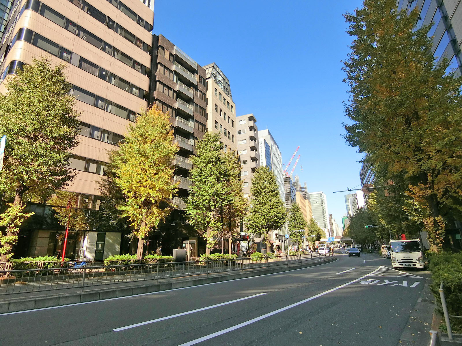 桜田通り沿いに立地