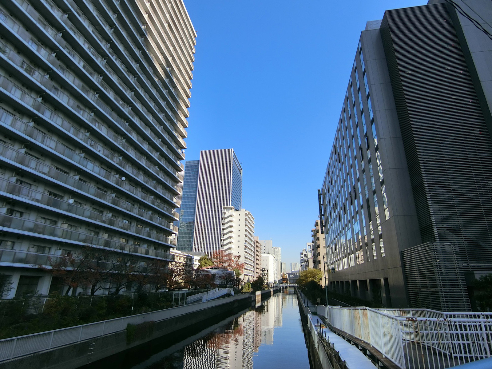 周辺は開放感のあるベイエリア