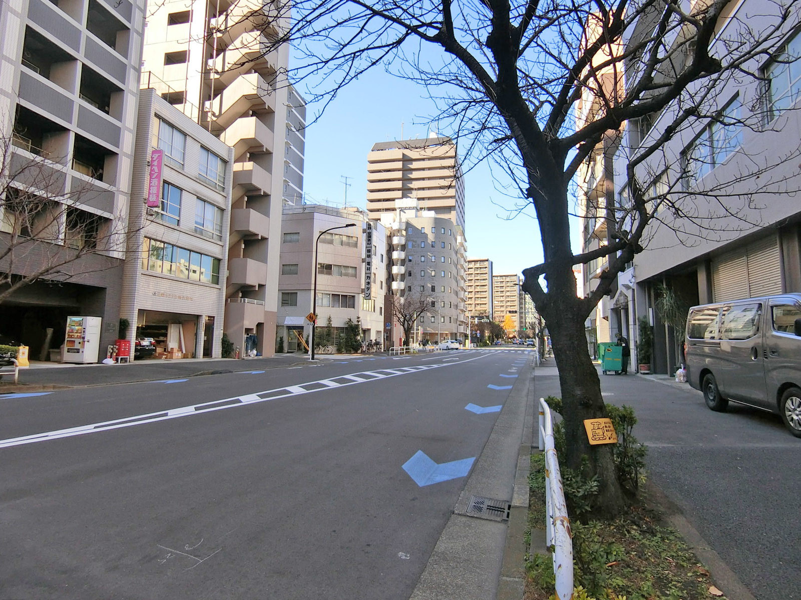 クレアレーヴ大森前面の通り