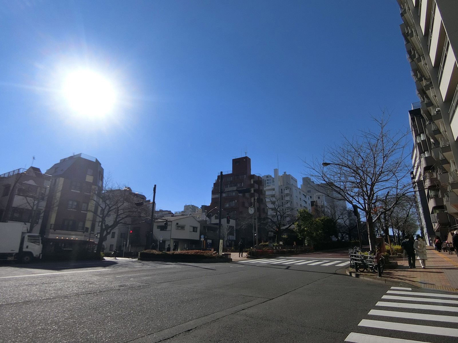 付近の播磨坂桜並木交差点