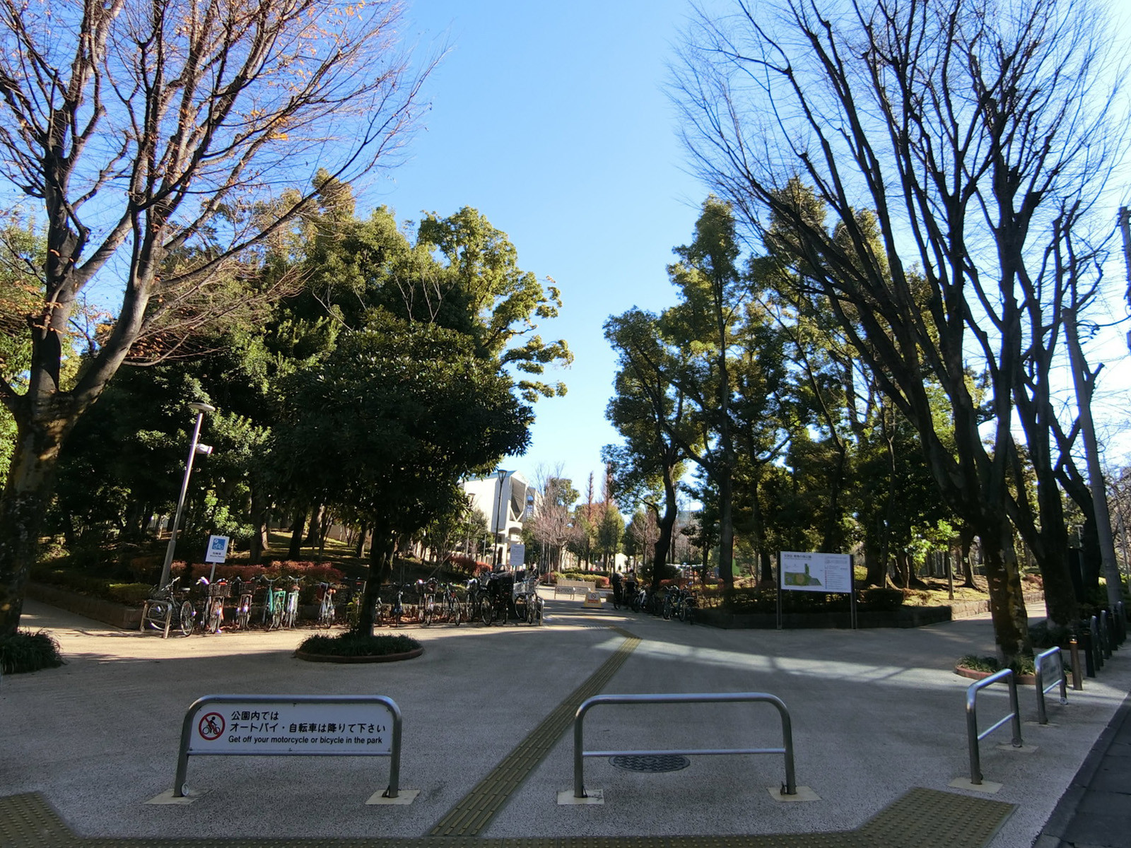 徒歩2分の文京区立教育の森公園