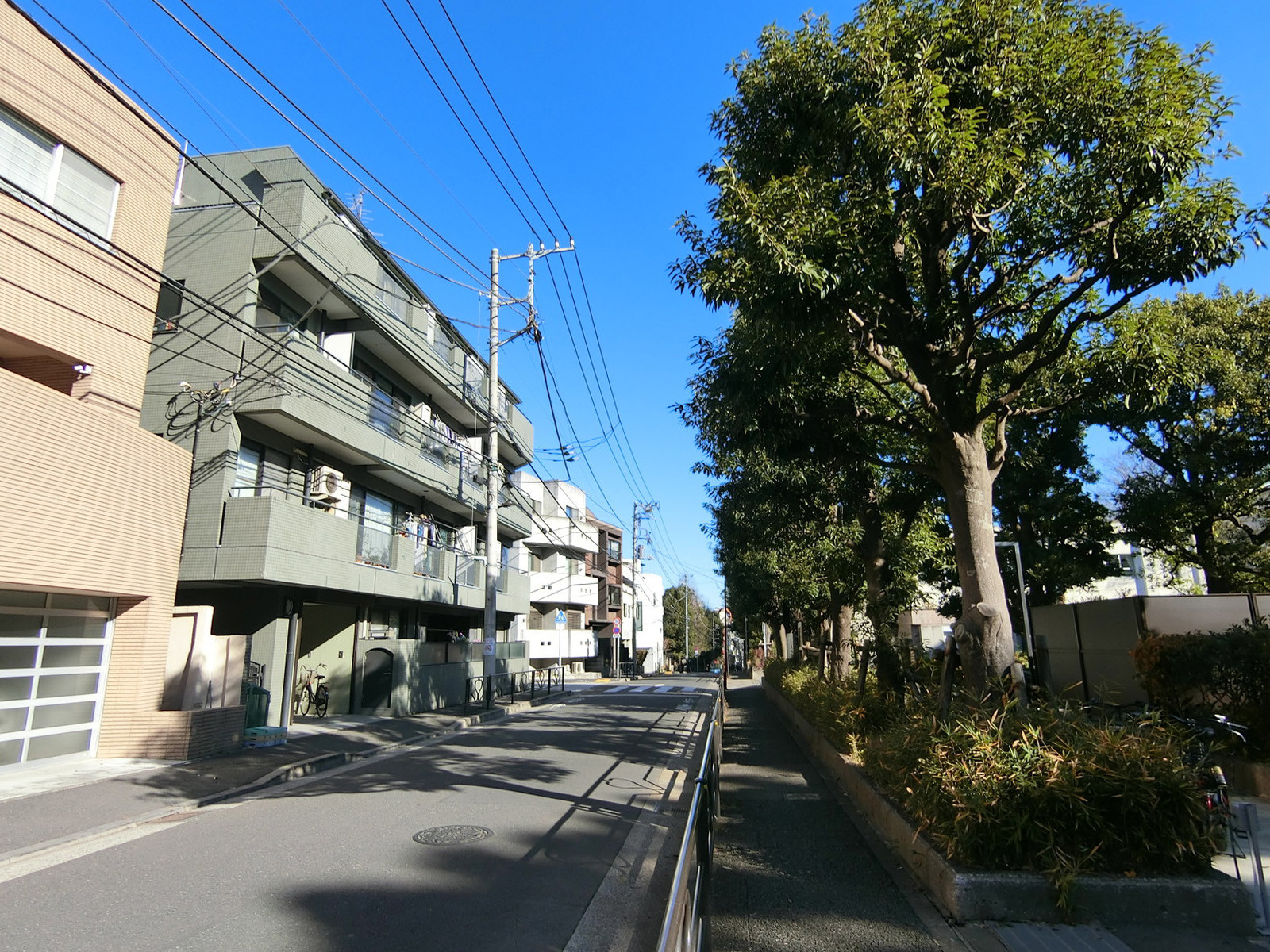 周辺は落ち着いた住宅街
