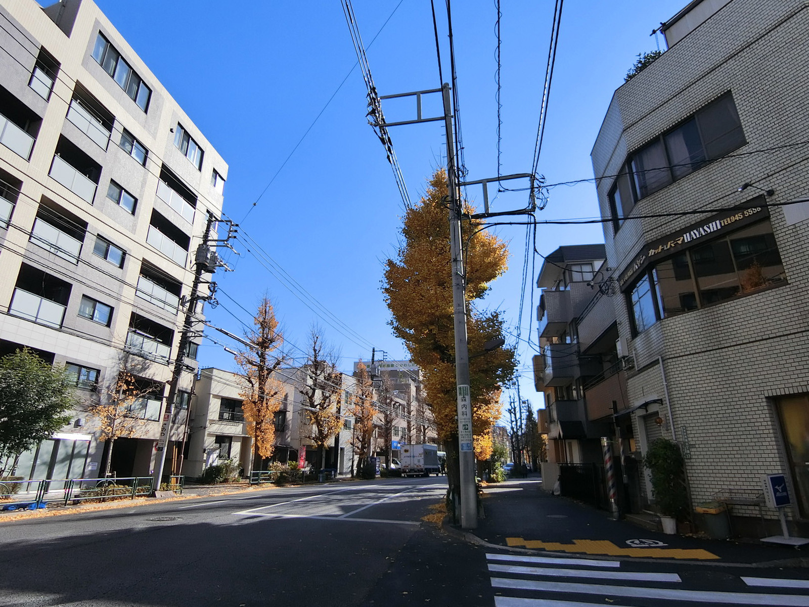 付近の千川通り