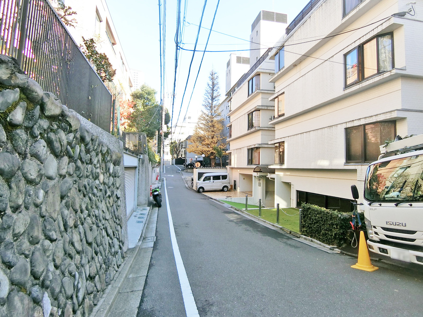 ロータス青山前面の通り