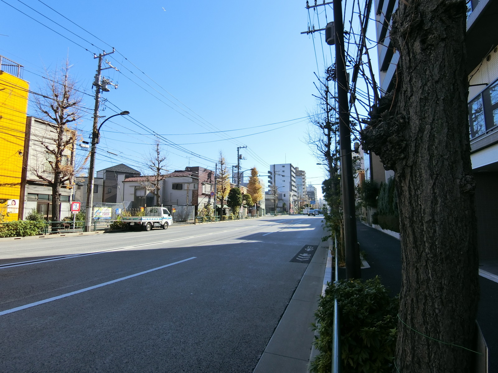 丸山ビル前面の明治通り